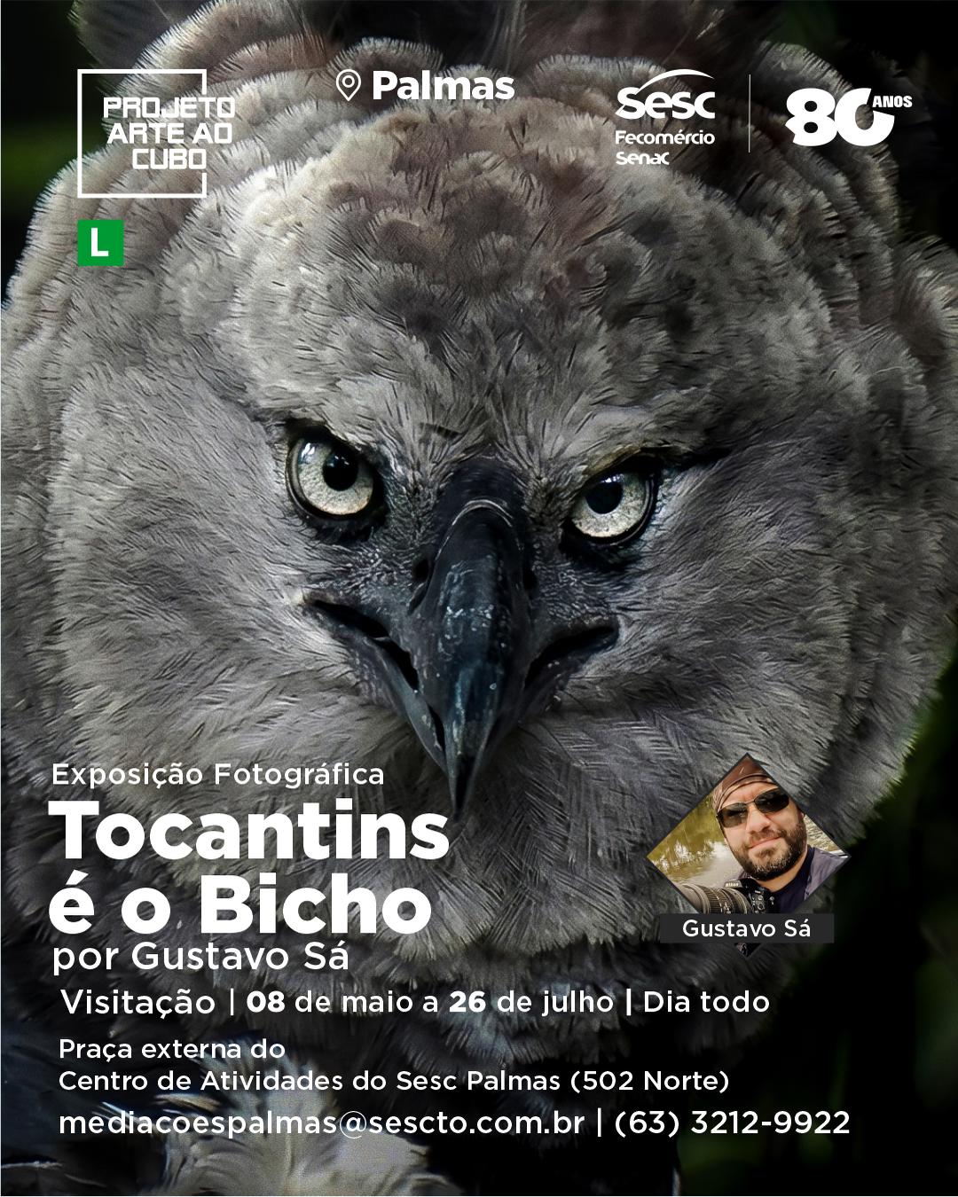 Imagem da programação