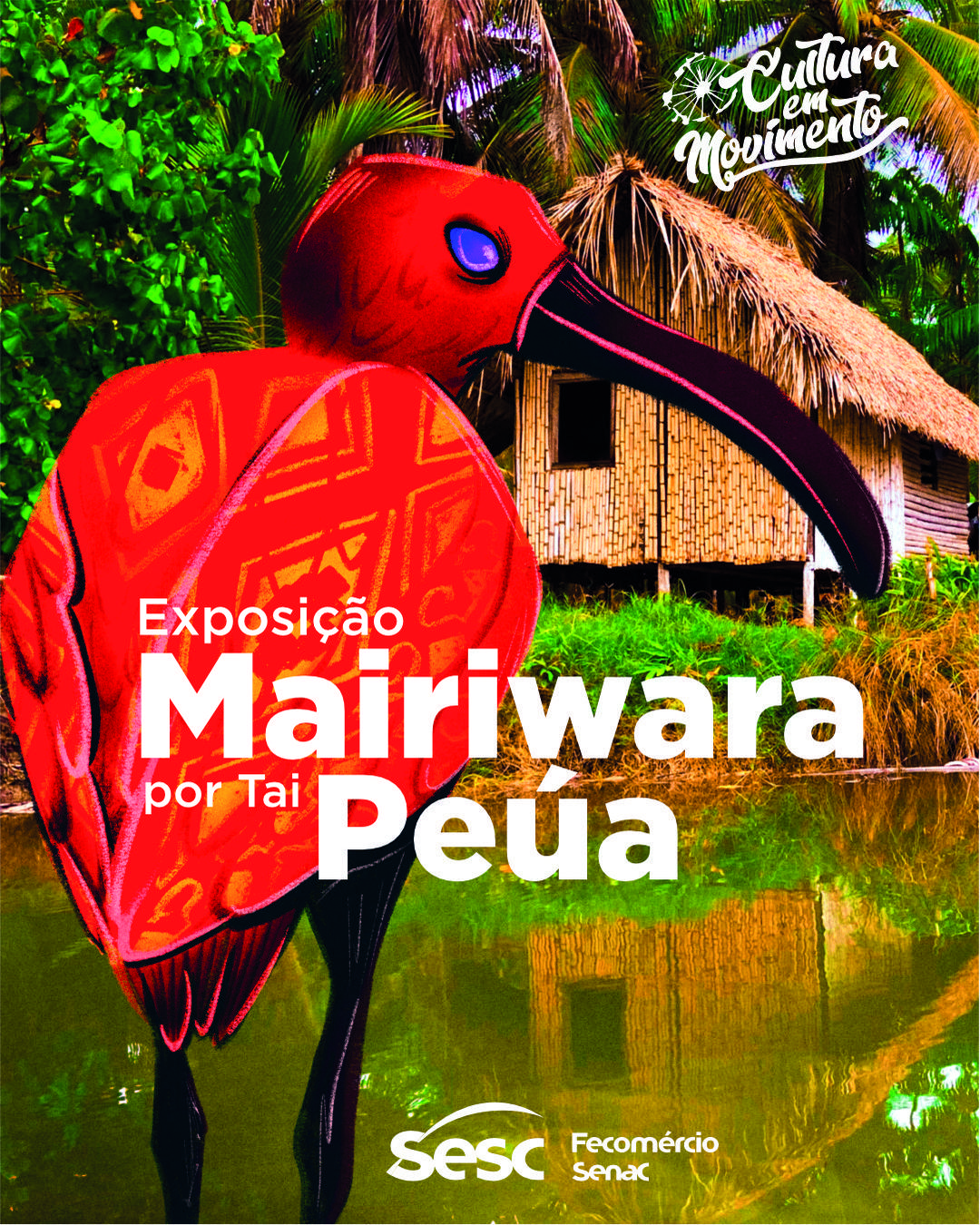 Imagem da programação