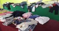 img_noticia