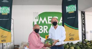 img_noticia